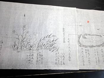 不遷流 巻物　秘伝　明治の巻物　入手困難　保存品 二刀流大名 立花丹後 (コスミック時代文庫) | 倉阪鬼一郎 |本